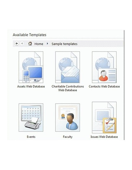 Microsoft Access 2010, IT