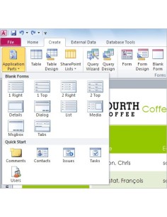 Microsoft Access 2010, OLP-NL 2