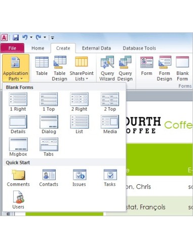 Microsoft Access 2010, OLP-NL