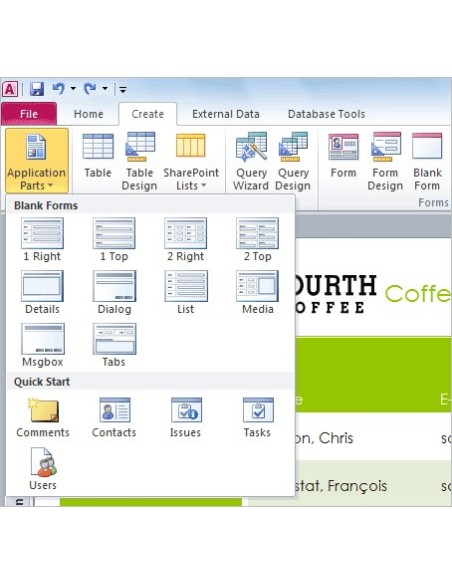 Microsoft Access 2010, OLP-NL