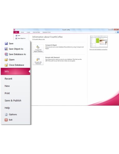 Microsoft Access 2010, OLP-NL