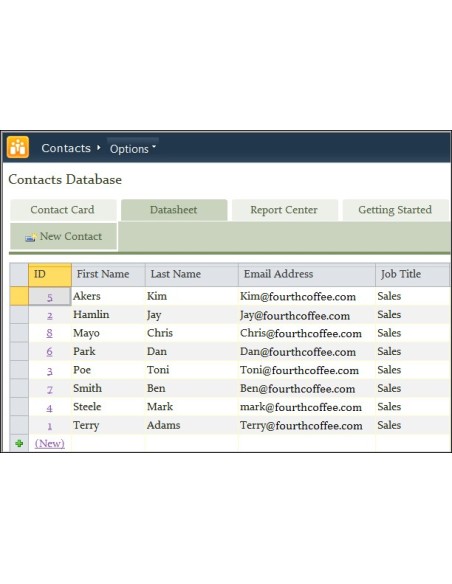 Microsoft Access 2010, OLP-NL