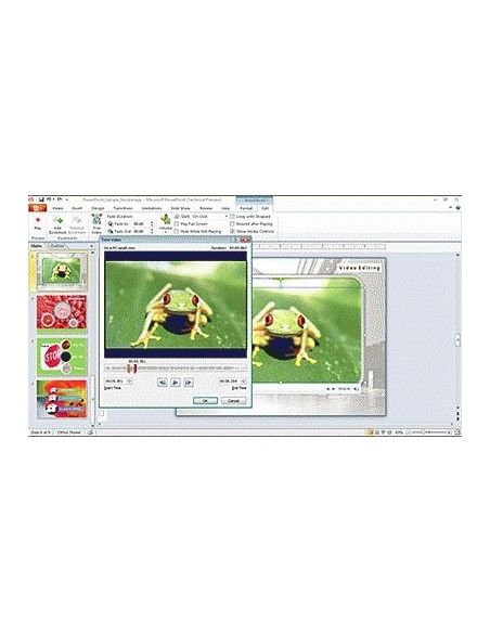 Microsoft PowerPoint 2010, EN