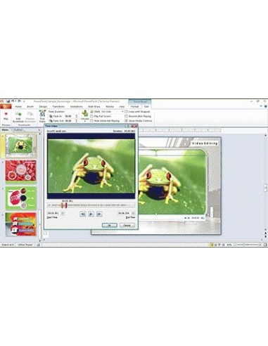 Microsoft PowerPoint 2010, IT