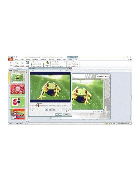 Microsoft PowerPoint 2010, OLP-NL, Sngl, GOV Governativa (GOV) 1 licenza e