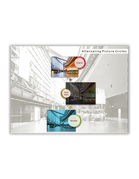 Microsoft PowerPoint 2010, OLP-NL, Sngl, GOV Governativa (GOV) 1 licenza e