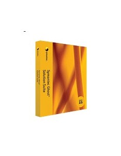 Symantec Ghost Solution Suite v.2.5 1 licenza e 1 anno i