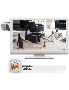 Toshiba 19DL934 2