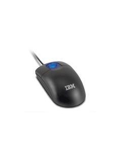 Lenovo 31P7405 mouse USB Type-A+PS 2 Ottico 800 DPI