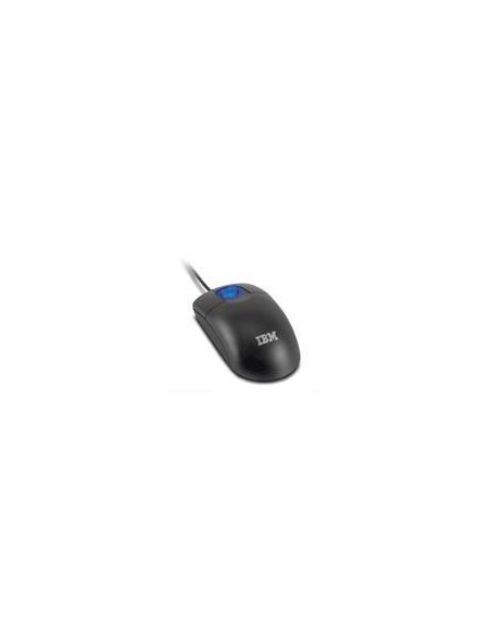 Lenovo 31P7405 mouse USB Type-A+PS 2 Ottico 800 DPI