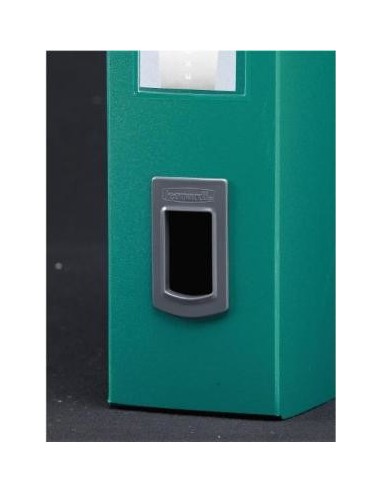 Fellowes 41213 cartella Verde