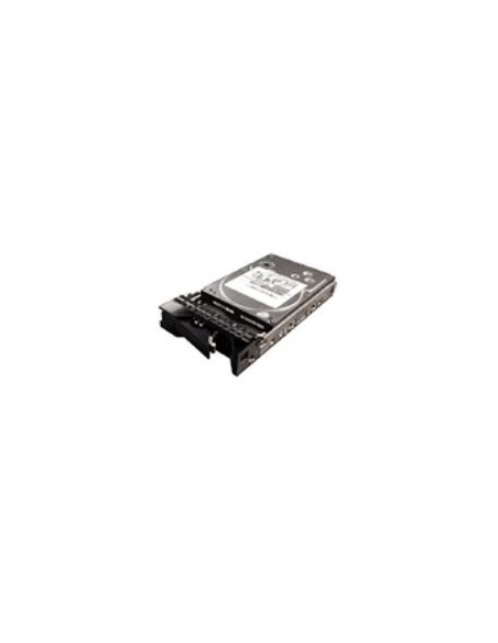 Lenovo ThinkServer 1TB SATAII HDD 3.5" 1024 GB Seriale ATA II