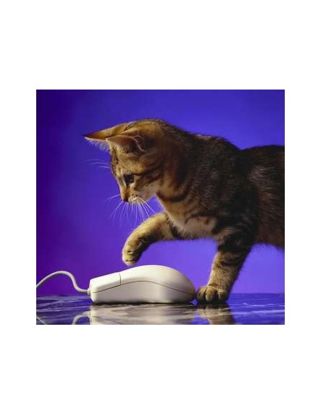 Fellowes 5882601 tappetino per mouse