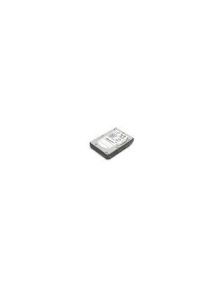 Lenovo ThinkServer 500GB 2.5" SATA