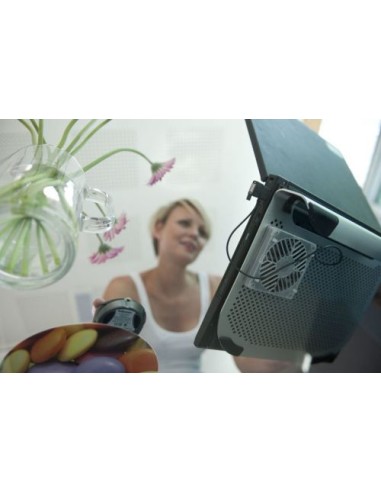 Fellowes 8018801 base di raffreddamento per notebook 38,1 cm (15") Argento