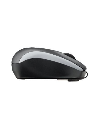Logitech M125 mouse USB tipo A Ottico 1000 DPI