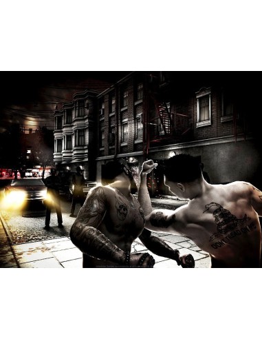 Sony The Fight Essentials, PS3 PlayStation 3