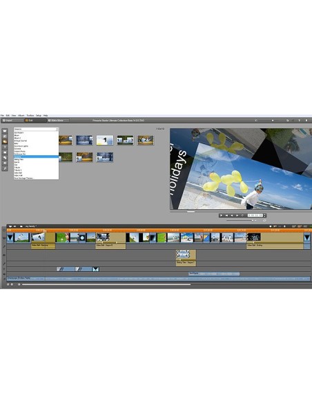 Pinnacle Dazzle Video Creator Platin HD, DEU ITA FRE scheda di acquisizione video