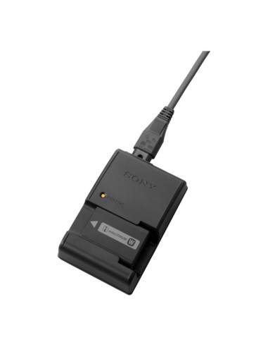 Sony BC-VW1