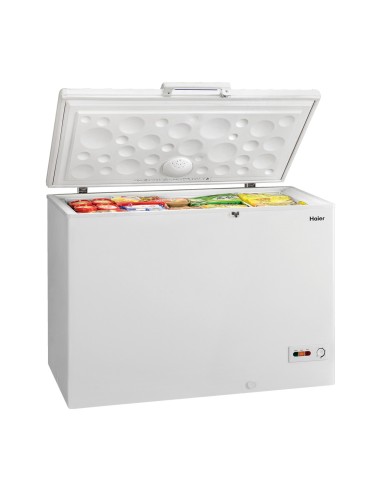 Haier BD-221SAA frigorifero e congelatore commerciali Libera installazione