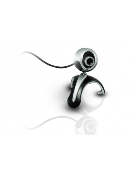 Conceptronic Flexcam 2.0 megapixel with microphone