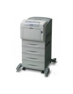 Epson AcuLaser C4200DTNPC6