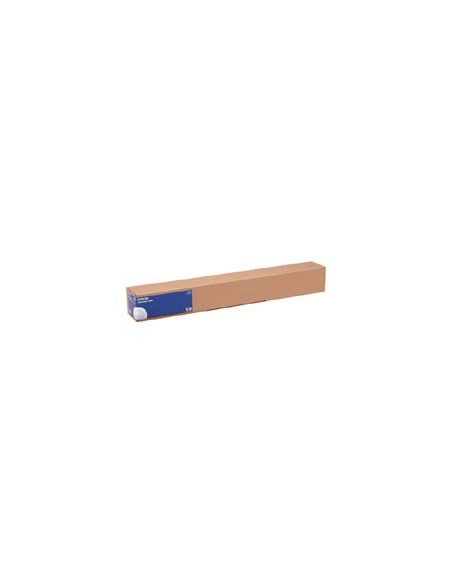 Epson Photo Paper Gloss(250), in rotoli da111,8cm (44'') x 30, 5m