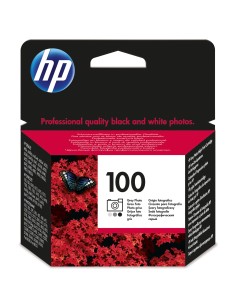 HP 100 cartuccia d'inchiostro 1 pz Originale Grigio