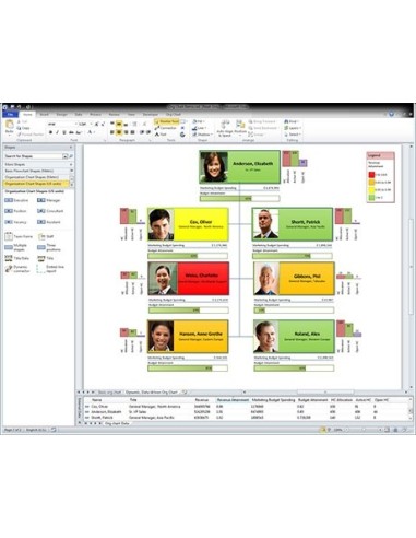 Microsoft Visio 2010 Standard, OLP-NL