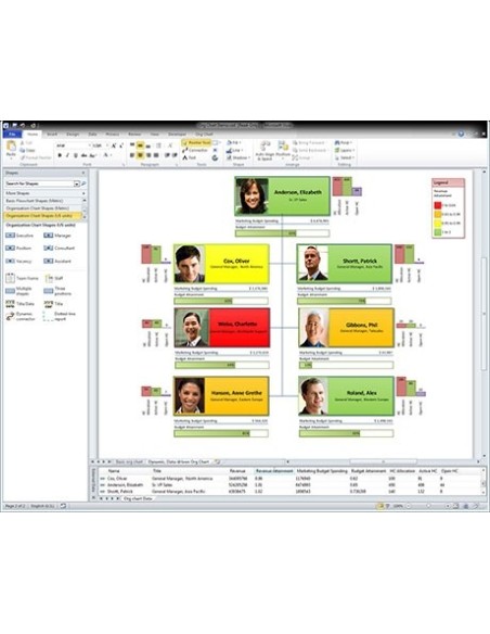Microsoft Visio 2010 Standard, OLP-NL