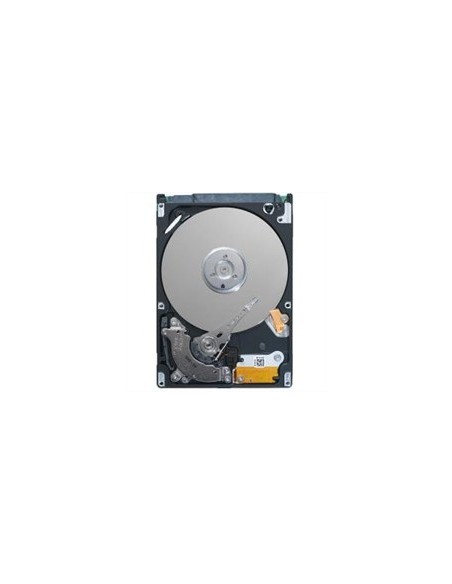 Fujitsu FTS ETLNS1HAG-L disco rigido interno 3.5" 1000 GB SAS