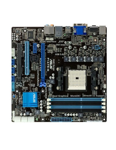 ASUS F1A75-M scheda madre AMD Hudson D3 Socket FM1 micro ATX