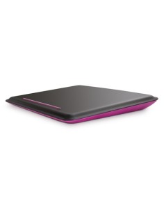 Belkin Laptop CushDesk