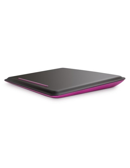 Belkin Laptop CushDesk