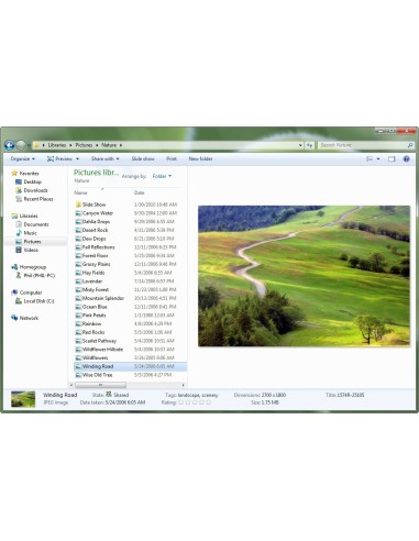 Microsoft Windows 7 Professional, DVD, EN 1 licenza e