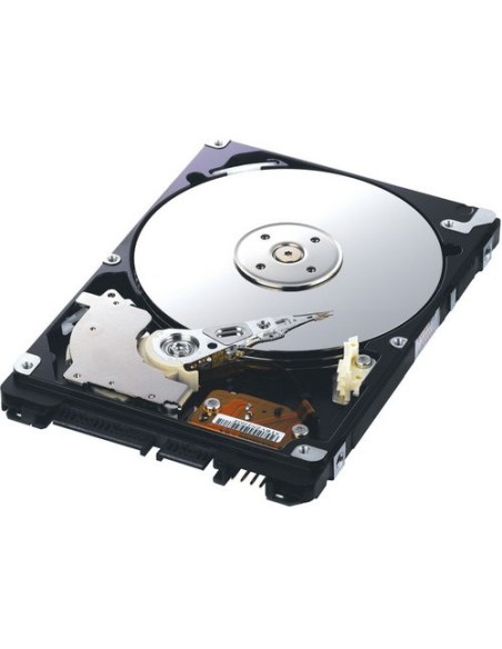Samsung Spinpoint M 320GB HDD 2.5" Seriale ATA II