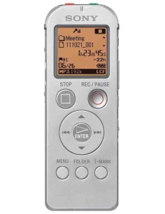 Sony ICD-UX522 Flash card Argento
