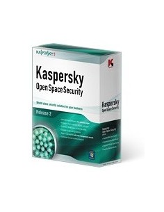 Kaspersky Lab Work Space Security Governativa (GOV) 2 anno i