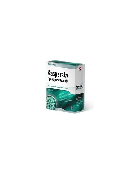 Kaspersky Lab Work Space Security Governativa (GOV) 2 anno i