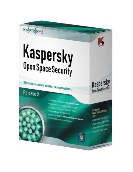 Kaspersky Lab Work Space Security EU ED, 25-49U, 3Y, Base Licenza base 3 anno i