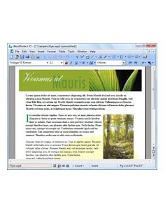 Corel WordPerfect Office X5 Standard, 251-350u, ENG Inglese 2