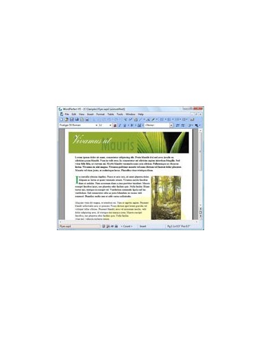 Corel WordPerfect Office X5 Standard, 251-350u, ENG Inglese