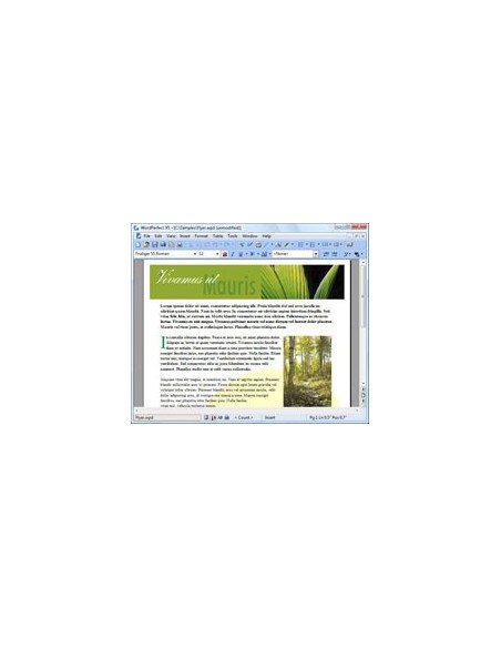 Corel WordPerfect Office X5 Standard, 251-350u, ENG Inglese