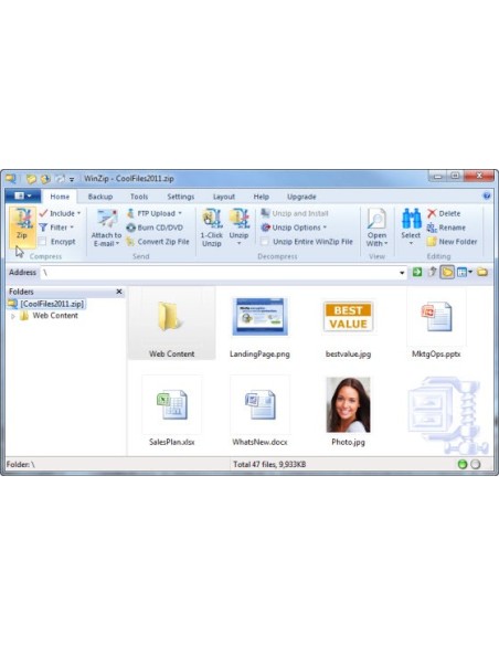 Corel WinZip 15 Pro, 100-199U, EN