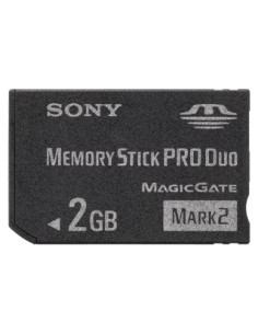 Sony MSMT2G memoria flash 2 GB