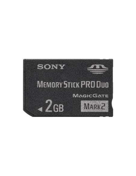 Sony MSMT2G memoria flash 2 GB