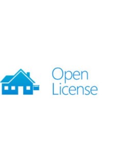 Microsoft Dynamics CRM Server, Open