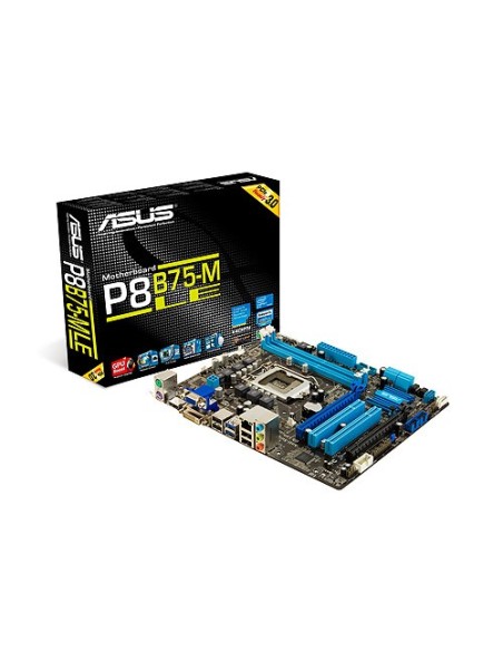 ASUS P8B75-M LE scheda madre Intel B75 LGA 1155 (Socket H2) micro ATX