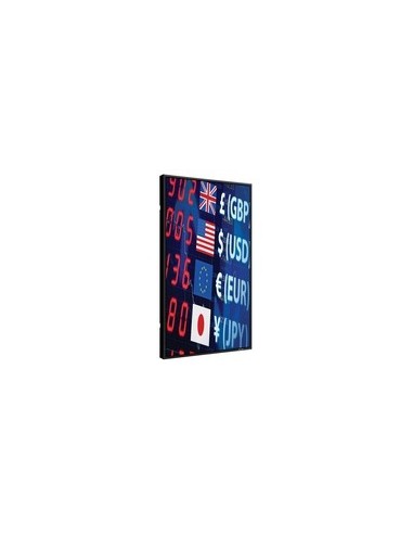 Sharp PNE471R 119,4 cm (47") 1920 x 1080 Pixel Full HD Nero