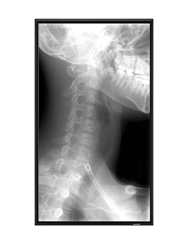 Sharp PN-E521 visualizzatore di messaggi Pannello piatto per segnaletica digitale 132,1 cm (52") 500 cd m² Full HD Nero